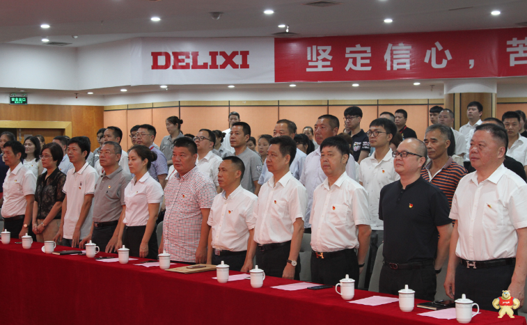 德力西开展“不忘初心跟党走，牢记使命勇担当”主题党日活动暨“七一”表彰大会