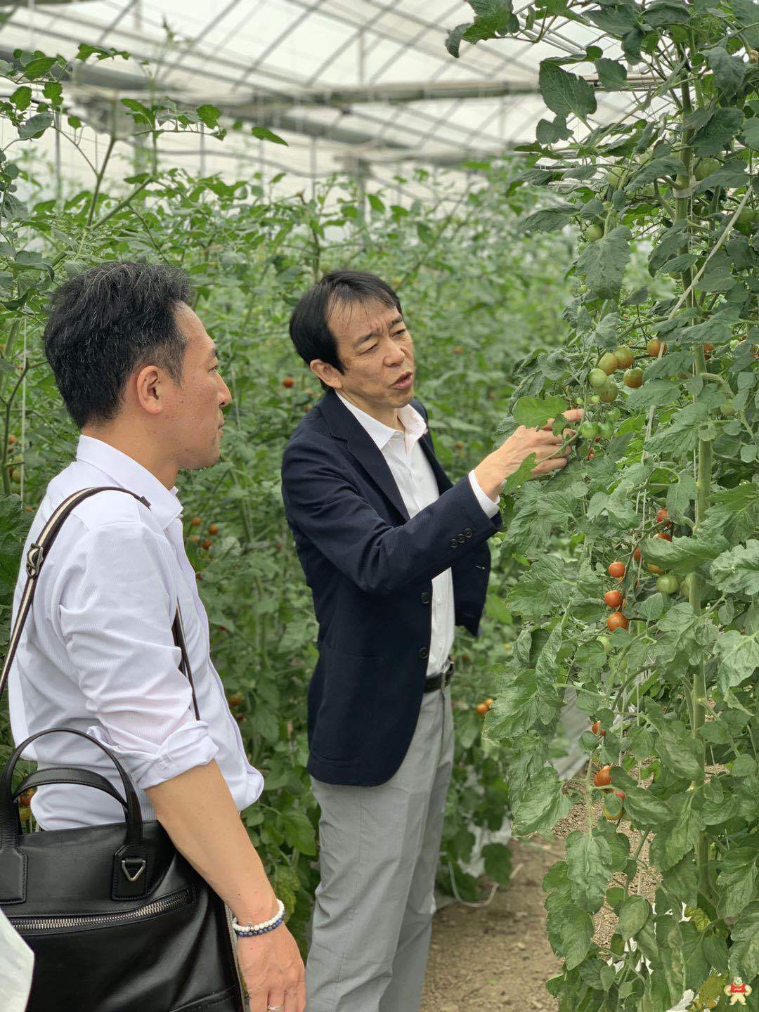 欧姆龙集团CTO宫田喜一郎对无锡欧姆龙智能农业园开展视察