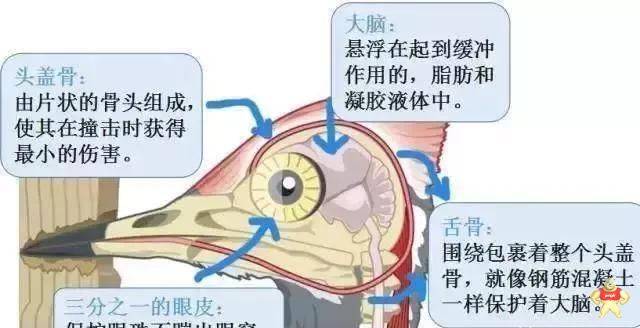 你知道安全帽在电力系统分成几种吗