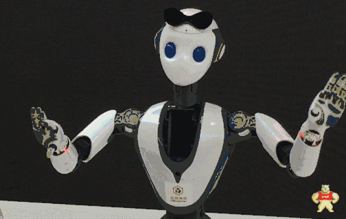 700余款机器人亮相2019世界机器人大会