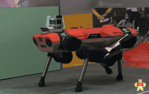 700余款机器人亮相2019世界机器人大会