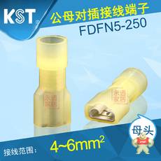 FDFN5-250