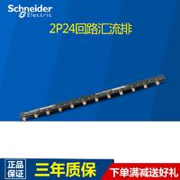 施耐德2P汇流排24位 可接12个2P空开 连接铜排 接线排A9XPH224