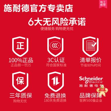 施耐德空气开关 家用断路器DPN20A带漏电保护器小型家用空开开关 MGNEA9C45C2030C,施耐德,断路器