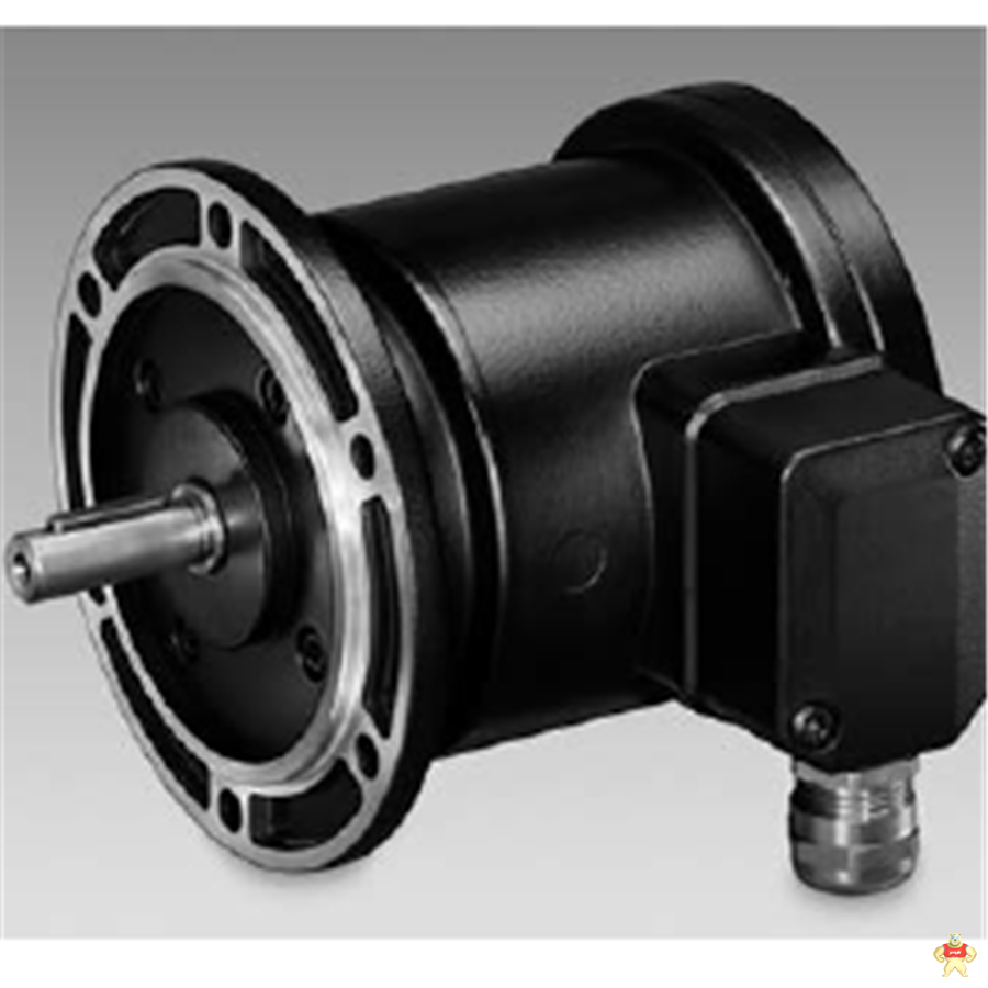 瑞士堡盟霍伯纳编码器HOG9GDN1024I/DN100R上海总代理现货 
