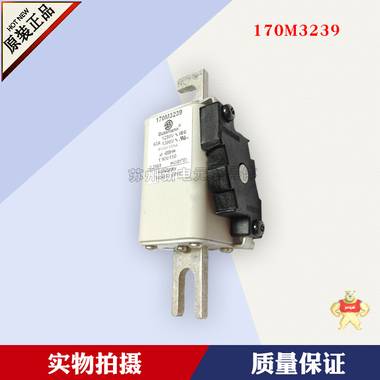 美国巴斯曼Bussmann快速熔断器170M3223	690V	630A原装现货 PLC