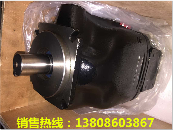 扬州市VPKCC-F3030A3A3-01油泵 柱塞泵,齿轮泵,液压站