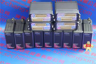 Foxboro0303363D SF0619A997日削月割 