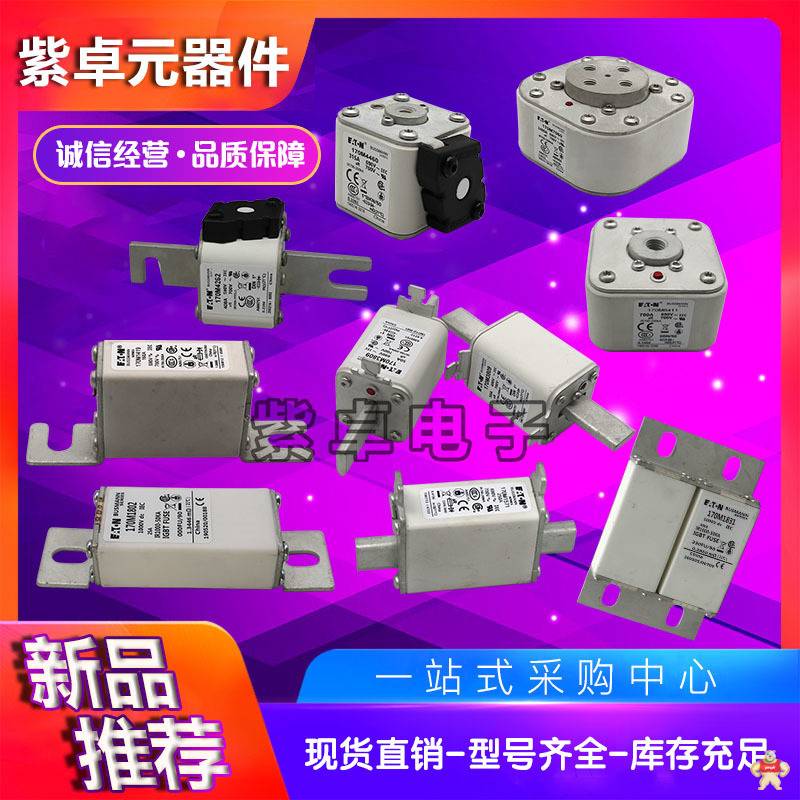 伊頓BUSSMANN巴斯曼 170M4410 熔斷器 保險絲 全新原裝現(xiàn)貨 保險絲,快速熔斷器,斷路器,保險絲座,熔絲