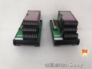 FOXBORO SRI986 BIDS7EBB 福克斯波罗 国外渠道库存充足 雄霸漳州办工控备件