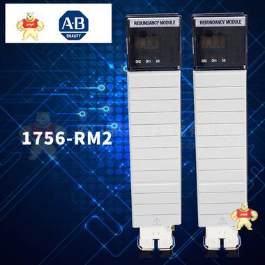 A-B 1756-RM2 模塊 