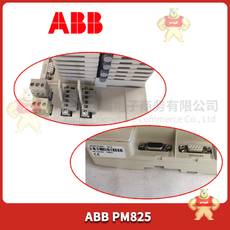 PM825