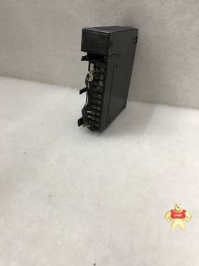 GE IC693ALG391 输出模块 输出模块