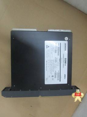 SIEMENS 39SDM024DCCBN 电源模块 