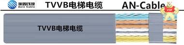 TVVB 电梯电缆，扁平随行电缆 上海埃因电线电缆集团有限公司 电梯电缆，扁平随行电缆