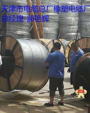 26/35KV-YJV高压电缆 YJV,高压电缆,26/35KV-YJV高压电缆