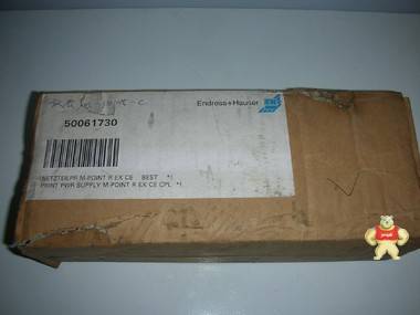 Endress Hauser M-Point 50061730 