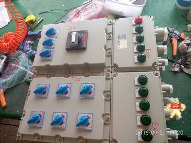 BSG防爆动力配电柜（箱），钢板防爆动力配电柜（箱） BSG防爆动力配电柜,钢板防爆动力配电柜,防爆动力配电柜