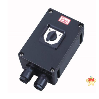 BZM8050-10A/220V单极防爆防腐照明开关 单极防爆防腐照明开关,单极防爆防腐照明开关,单极防爆防腐照明开关,单极防爆防腐照明开关,单极防爆防腐照明开关