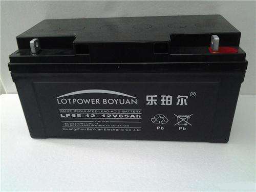 乐珀尔（LOTPOWER）12V65AH蓄电池 UPS太阳能 直流屏电力专用电瓶 北京奇文宏创科技有限公司
