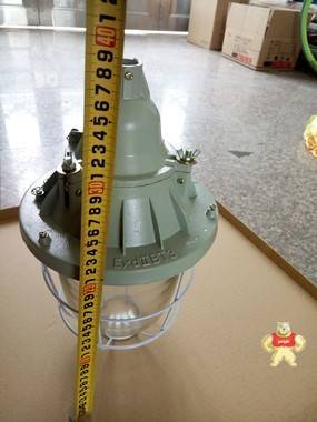 BAD-400防爆照明燈 工廠防爆燈 防爆白熾燈廠家 