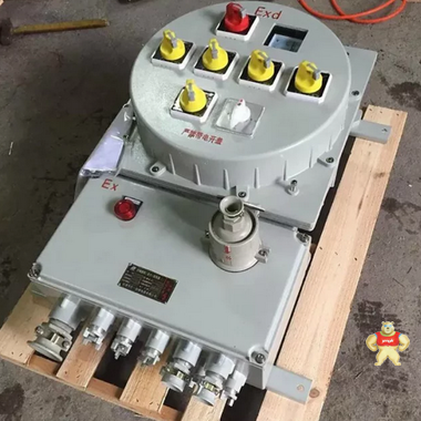 防爆照明配電箱生產(chǎn)廠家 上海新黎明防爆電器有限公司 防爆檢修箱廠家,非標(biāo)防爆配電箱定做,防爆配電箱價(jià)格,防爆配電箱圖紙,防爆配電箱質(zhì)量