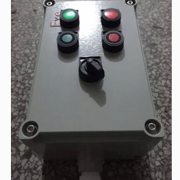 ZXF51-B1防爆防腐操作柱机旁
