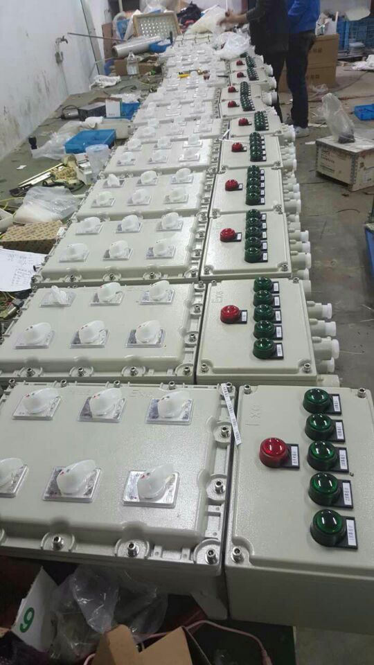 BXS8050-2/4/6/16A防爆防腐电源插座箱