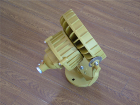 BAT51-L250W防爆投光灯