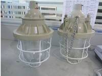 BAD81-N70W防爆燈 樂清市浙創(chuàng)防爆電氣有限公司銷售