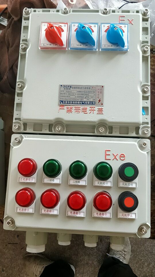 BXMD防爆双电源箱