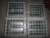 BAT51防爆泛光燈BAT51帶防雨罩