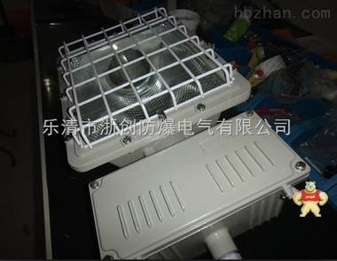 BAT51防爆泛光燈BAT51帶防雨罩 防爆泛光燈,防爆LED泛光燈,LED防爆燈,防爆燈