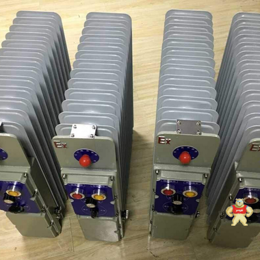 BDR-1500W/9YR防爆电热油汀 防爆电热油汀,防爆电热油汀,防爆电热油汀,防爆电热油汀,防爆电热油汀