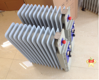 BDR-1500W/9YR防爆电热油汀 防爆电热油汀,防爆电热油汀,防爆电热油汀,防爆电热油汀,防爆电热油汀