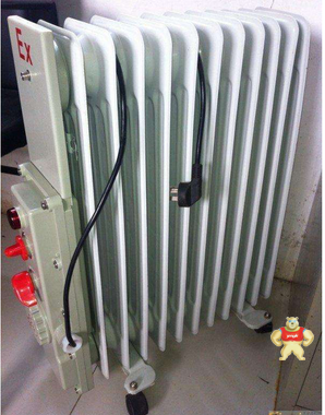 BDR-1500W/9YR防爆电热油汀 防爆电热油汀,防爆电热油汀,防爆电热油汀,防爆电热油汀,防爆电热油汀