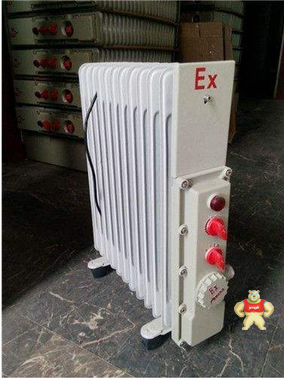 BDR-1.5KW/9防爆油汀取暖器 BDR-1.5KW/9防爆油汀取暖器,BDR-1.5KW/9,防爆油汀取暖器,防爆油汀,防爆取暖器