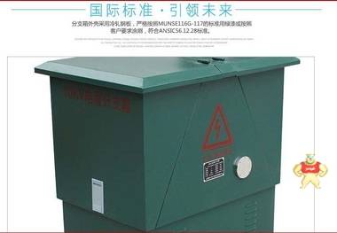 DFW-12電纜分支箱 DFW-12,電纜分支箱,DFW-12電纜分支箱,DFW電纜分支箱