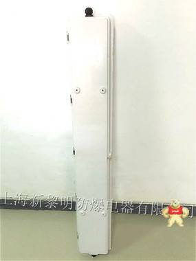 新黎明BYS-2*40W防爆防腐全塑应急荧光灯 BYS防爆防腐全塑荧光灯,防爆荧光灯灯,防爆防腐荧光灯