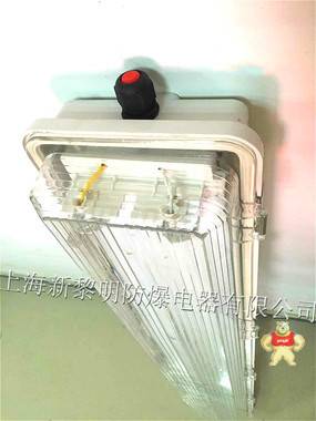 新黎明BYS-2*40W防爆防腐全塑应急荧光灯 BYS防爆防腐全塑荧光灯,防爆荧光灯灯,防爆防腐荧光灯