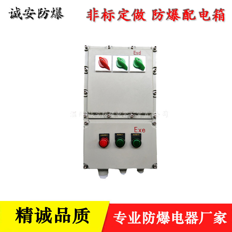 防爆配电箱标准 现货保障放心选购
