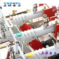 FN12-12RD/T125-31.5戶(hù)內(nèi)高壓負(fù)荷開(kāi)關(guān)