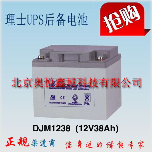 理士电池DJM1238 免维护铅酸电池12V38AH UPS/EPS电源使用电池