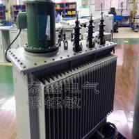 自動(dòng)調(diào)容調(diào)壓變壓器生產(chǎn)廠家--泰鑫電氣