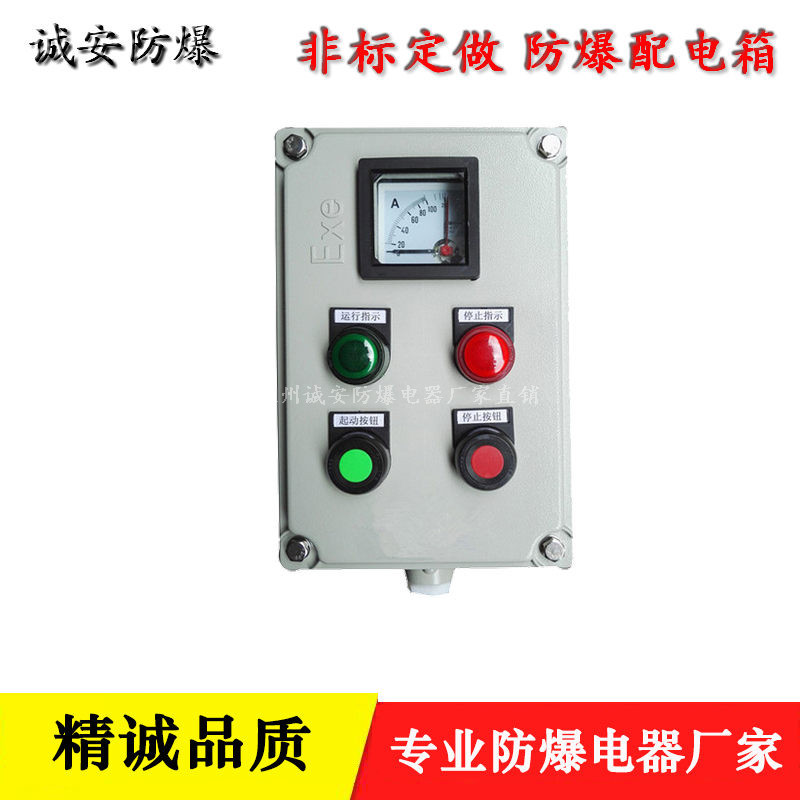 220V防爆照明箱 16A开关电流控制