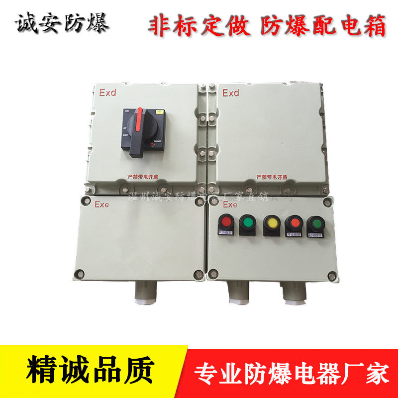 220V防爆照明箱 16A开关电流控制