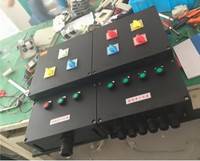 广隆防爆 BXM-T防爆防腐照明配电箱