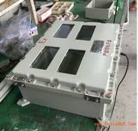 防爆儀表箱  廠家定做防爆儀表箱 樂清市浙創(chuàng)防爆電氣有限公司銷售