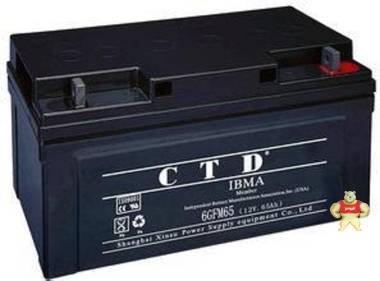 CTD12V100AH免维护直流电源逆变器蓄电池6GFM100 朗旭电子 CTD,6GFM100,免维护电池,直流电源,12V100AH