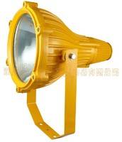 BTC6210防爆投光灯BTC6210-J400W 深圳华荣防爆